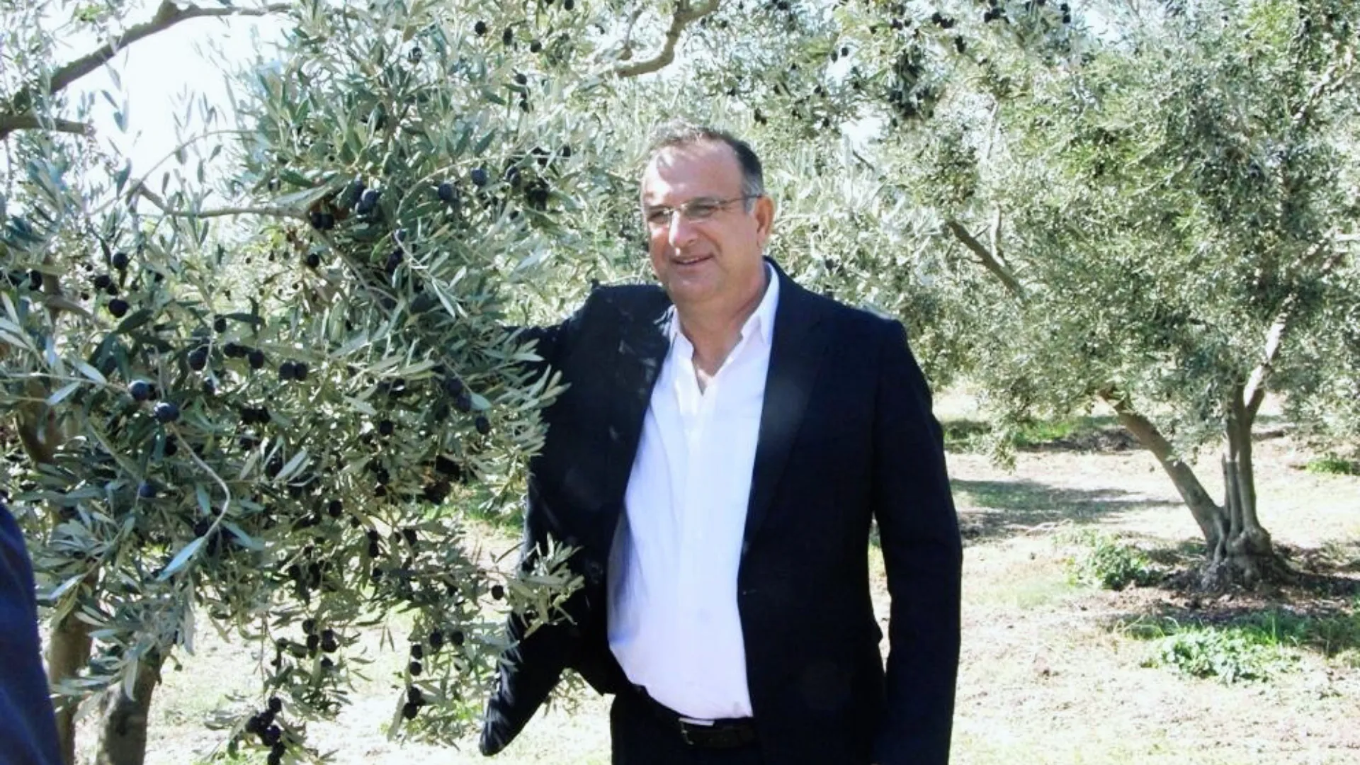 Zeytin Bahçesi
