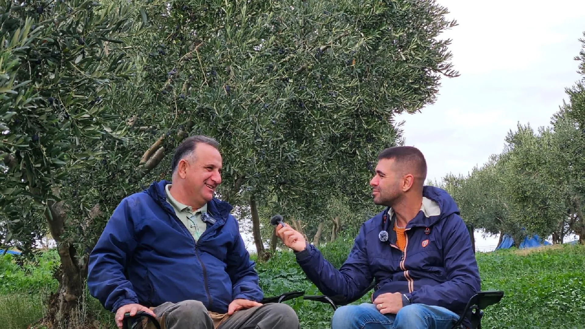 MyOlive Bahçe Görüntüsü 2